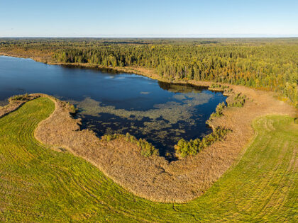 Kaiu järvistu – 360° fotod